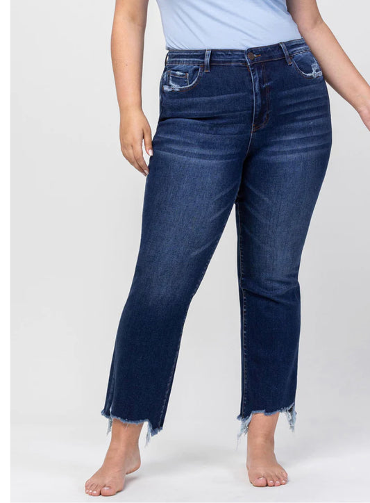 Vervet Plus High Rise Ankle Flare Jeans