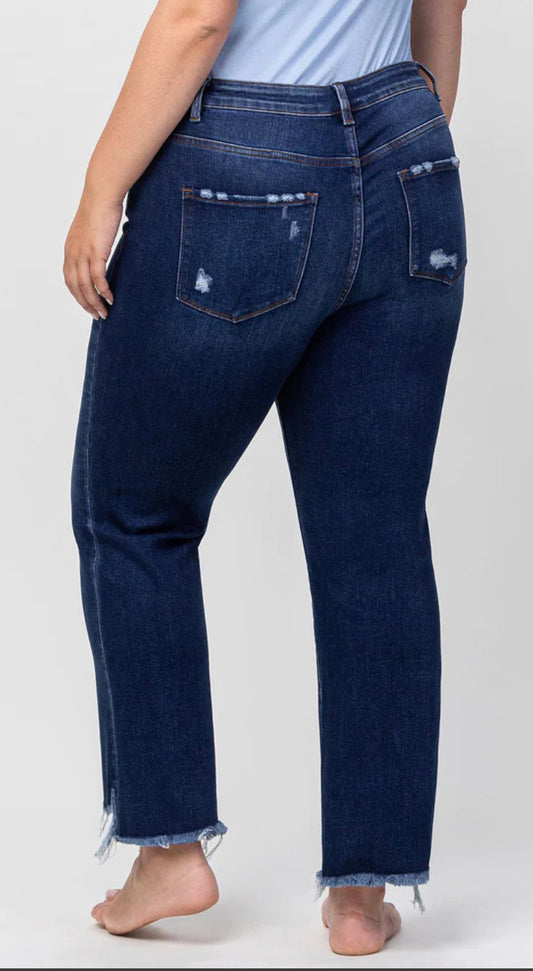 Vervet Plus High Rise Ankle Flare Jeans